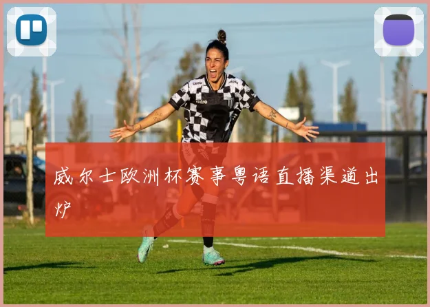威尔士欧洲杯赛事粤语直播渠道出炉