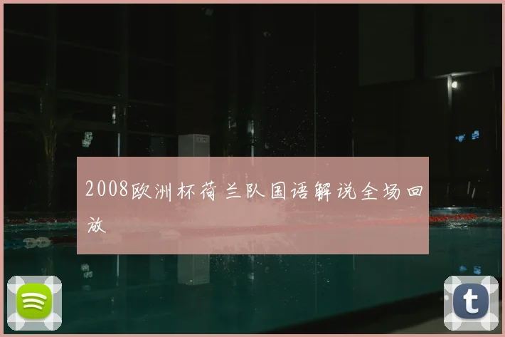 2008欧洲杯荷兰队国语解说全场回放