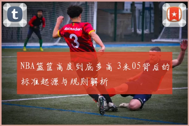 NBA篮筐高度到底多高 3米05背后的标准起源与规则解析