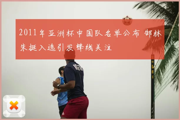 2011年亚洲杯中国队名单公布 郜林朱挺入选引发锋线关注