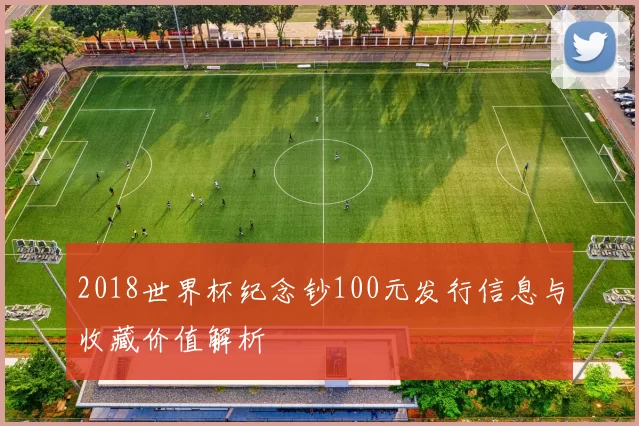 2018世界杯纪念钞100元发行信息与收藏价值解析