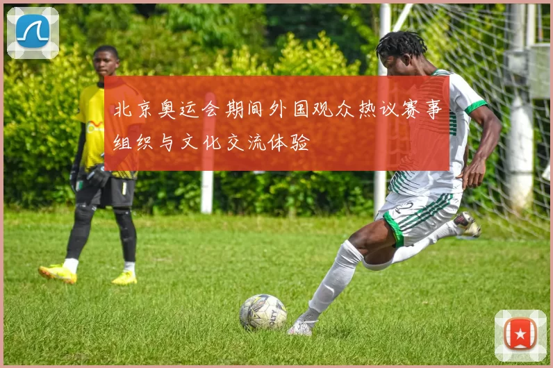 北京奥运会期间外国观众热议赛事组织与文化交流体验
