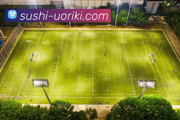 k1官方网平台生态图